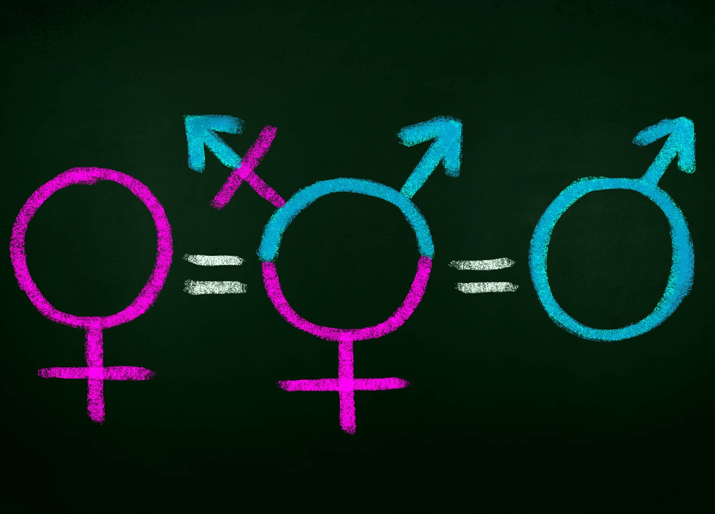 HUMAN GENDER: THE SOCIETAL CONNOTATION
