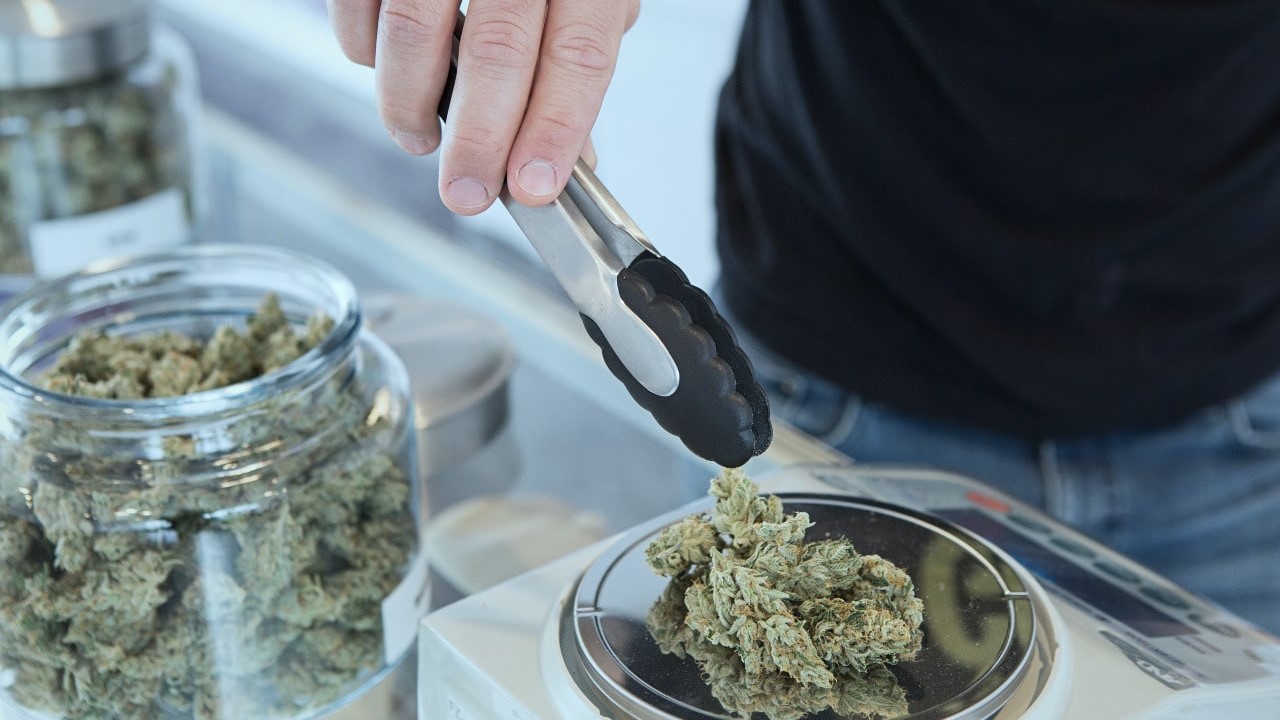 LEGALISATION OF MARIJUANA IN INDIA VS THE WORLD