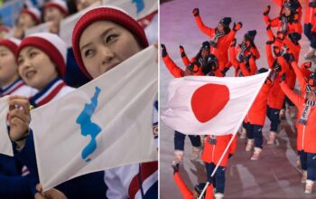 DIPLOMATIC TIES BETWEEN REPUBLIC OF KOREA AND JAPAN