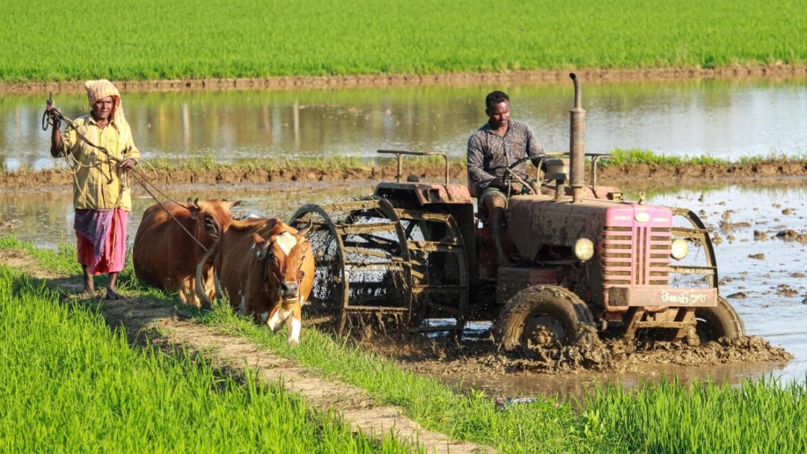 AGRICULTURAL LABOUR IN INDIA AND THE FARM BILLS
