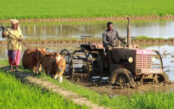 Agricultiral Labour in India and Farm Bills