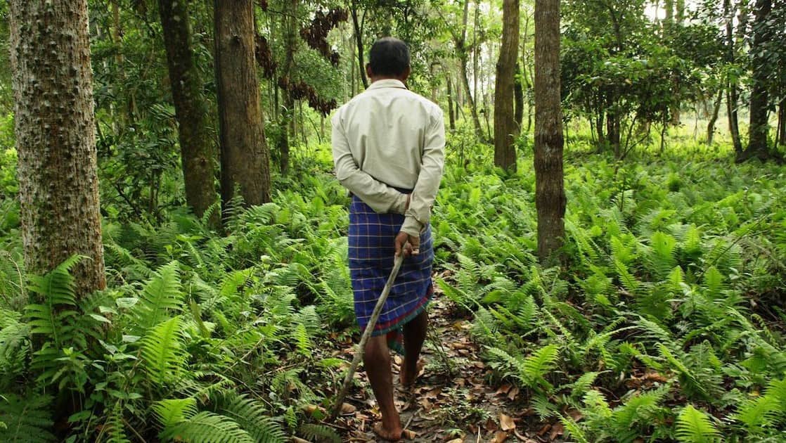 JADAV PAYENG: A CLIMATE WARRIOR